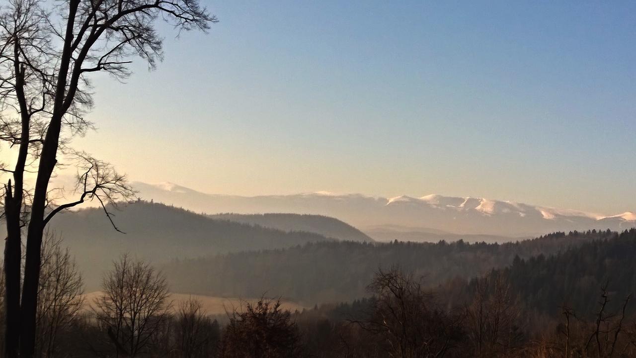 Dom Goscinny Pod Zamkiem Wlen Luaran gambar
